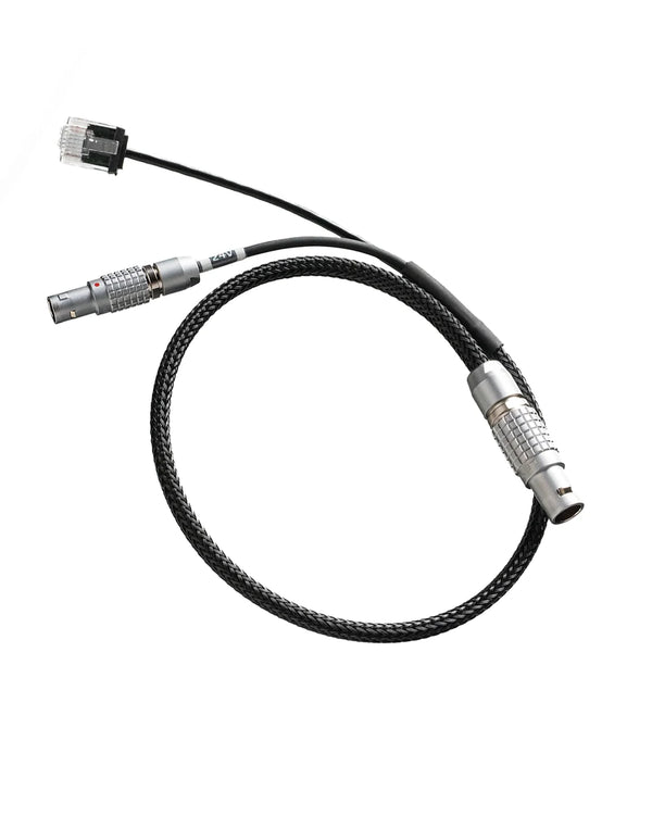 Alexa Y Cable